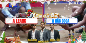 Trận 1 Bồ Dinh Bà 21/12/2025 - Đám Gà Bông Hắc Coca Tiếp Tục Làm Mưa Làm Gió