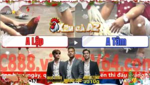 Trận 13 CPC5 1/12/2025