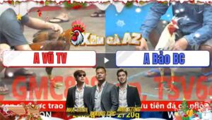 Trận 19 CPC5 1/12/2025