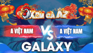 Trận 11 Bồ Galaxy 3/1/2026 - Bướm Canh Chặn Siết Vài Chân Là Có Kết Quả