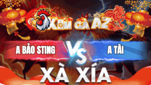 Trận 27 Bồ Xà Xía 1/1/2026 - Bảo Sting Gặp Anh Tài Và Cái Kết