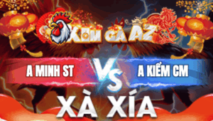 Trận 33 Bồ Xà Xia 1/1/2026 - Minh Việt Kiều Hạ Đẹp Kiểm Cà Mau