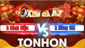 Trận 14 Tonhon 9/1/2026