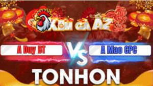 Trận 33 Tonhon 7/1/2026