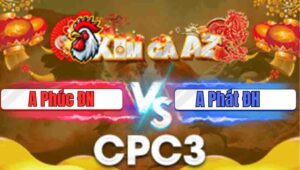 Ga Rung 3 Recovered Recovered Recovered Recovered Recovered Recovered Recovered Recovered Recovered Recovered Recovered Recovered Recovered Recovered Recovered 228