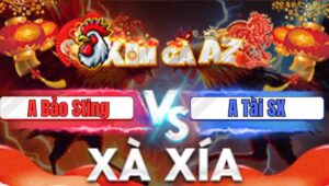 Trận 48 Xà Xía 01/01/2026