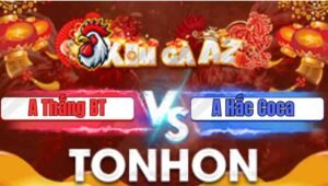 Trận 9 Tonhon 7/1/2026