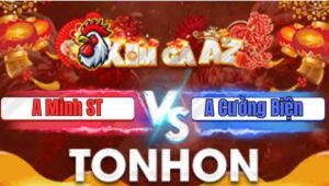 Trận 10 Tonhon 7/1/2026