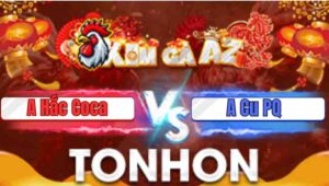 Trận 13 Tonhon 7/1/2026