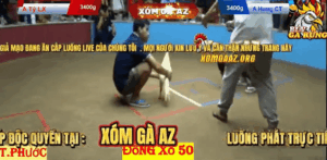 Trận 11 Bồ Thường Phước 17/1/2026 - Hưng Cần Thơ Gặp Tý Long Xuyên Tại Bồ Thường Phước