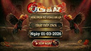 XOMGAAZ Xem Full Video Da Ga CPC5 Ngay 0103022026