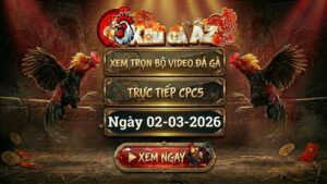 XOMGAAZ Xem Full Video Da Ga CPC5 Ngay 0203022026